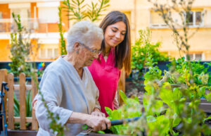 companion care for elderly with dementia