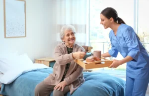 Home Care Assistance Services